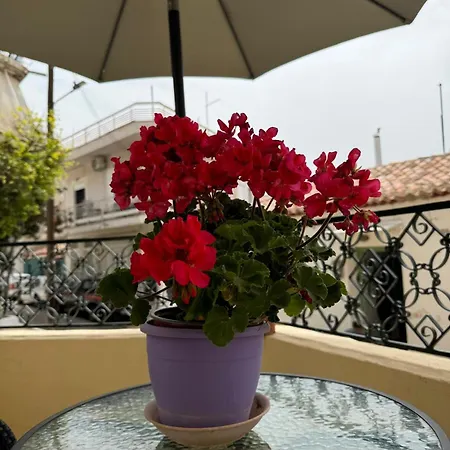 αλμα - A Family Boutique At The Center *