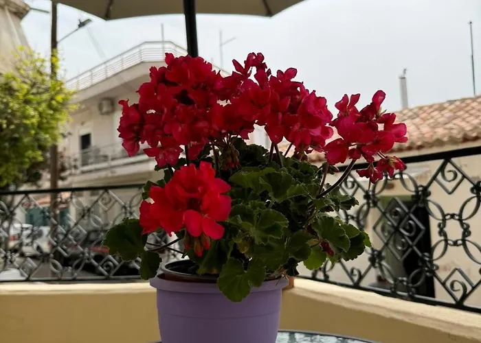 αλμα - A Family Boutique At The Center *