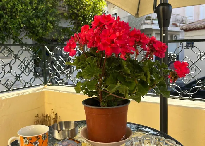 Lejlighed αλμα - A Family Boutique At The Center *